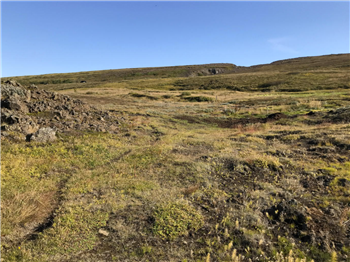 Veidivefur.Model.Attachment