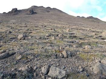 Veidivefur.Model.Attachment