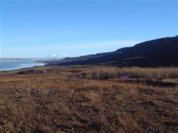 Veidivefur.Model.Attachment